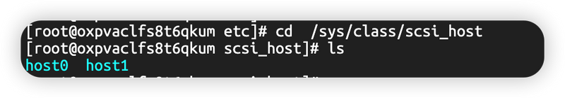 图片[1]-Linux磁盘挂载与分区删除-极客屿 Geek Island.