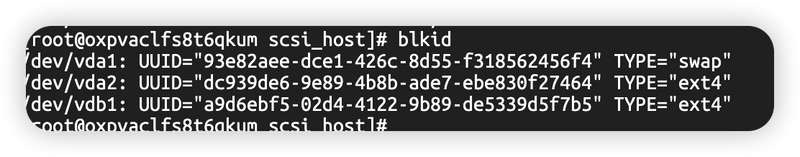 图片[4]-Linux磁盘挂载与分区删除-极客屿 Geek Island.