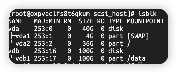 图片[2]-Linux磁盘挂载与分区删除-极客屿 Geek Island.
